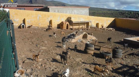 Kanariøyene_Gran Canaria_Agüimes_smugling hund