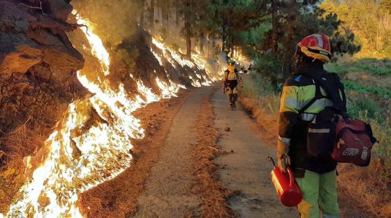 Brannkonstabel på La Palma skogbrann