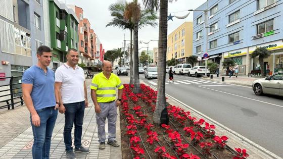 Julestjerner i Guía på Gran Canaria.