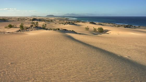 Dunas de Corralejo, Fuerteventura