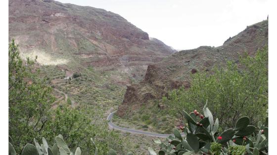 Barranco de Guayadeque