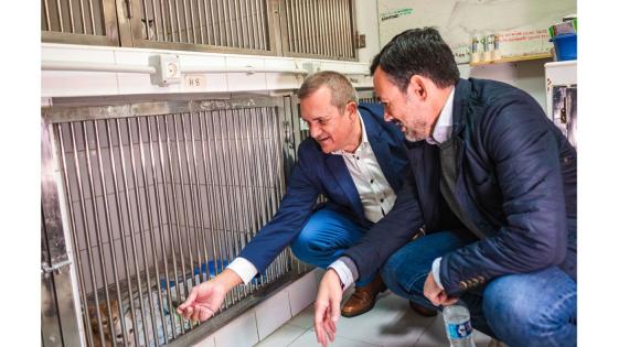 Lope Alfonso og Valentín González