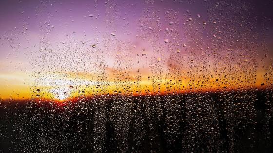 Varmt og vått i Spania 2025