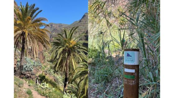 Turstien  El Guro - Salto del Agua på La Gomera