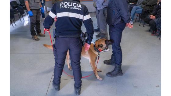 hundefører og hund på kurs