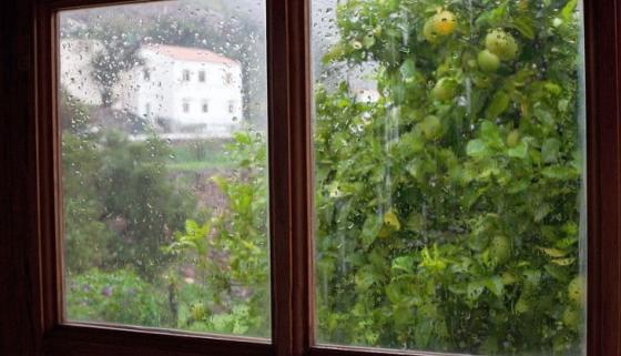 Regnvær på vindu med appelsintre og hus utenfor.