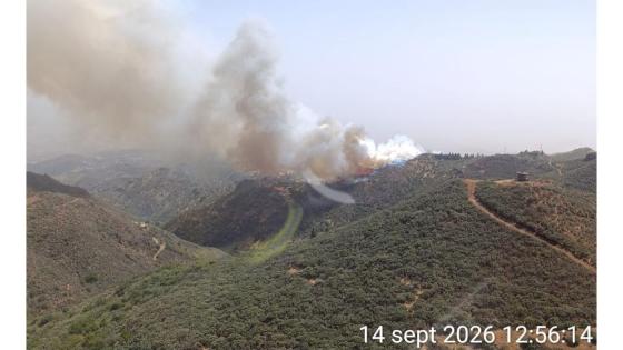 Brann i Cazadores på Gran Canaria