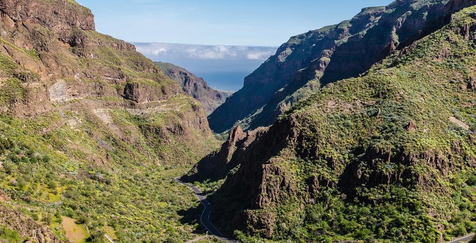 Barranco Guayadeque