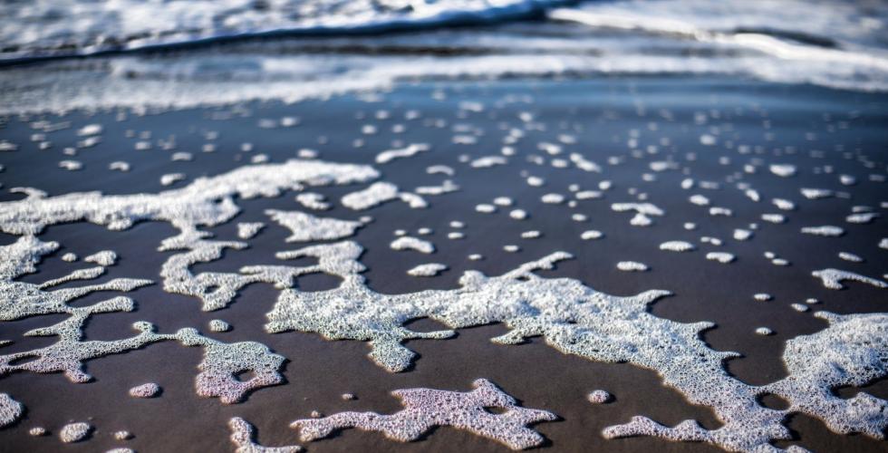 Skum fra havet i strandkanten.