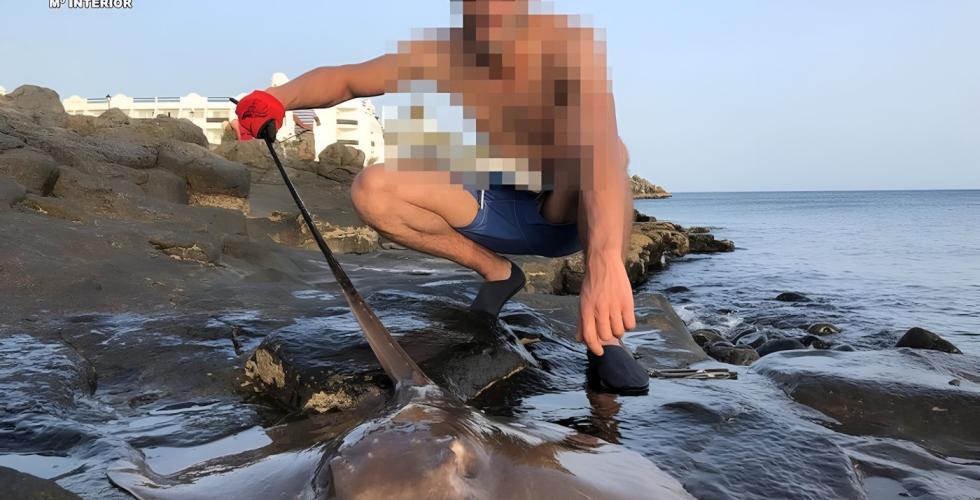 Ulovlig sportsfiske for turister på Lanzarote.