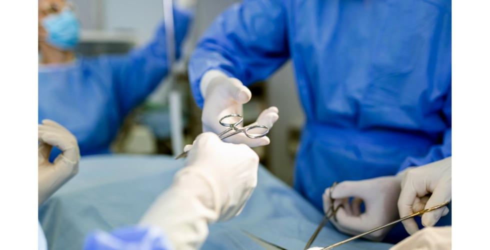 227 transplantasjoner ble utført på Kanariøyene i 2023.
