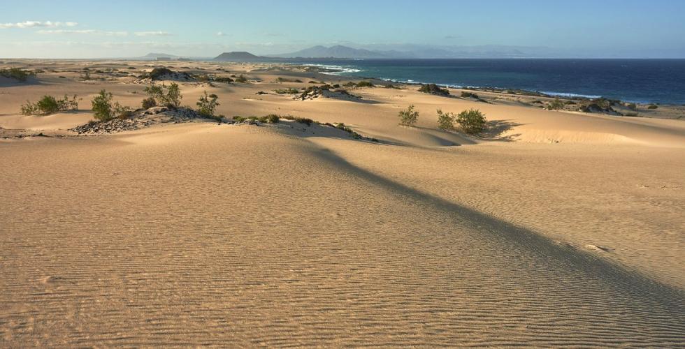 Dunas de Corralejo, Fuerteventura