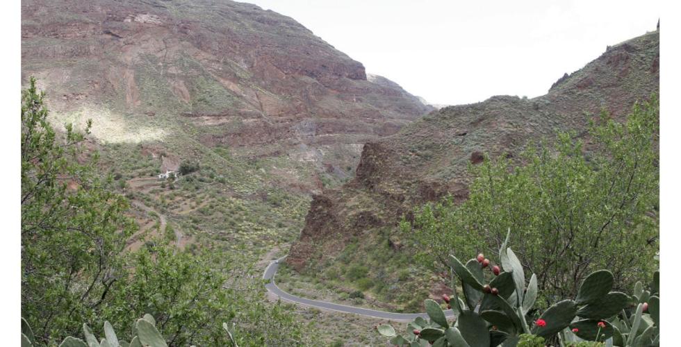 Barranco de Guayadeque