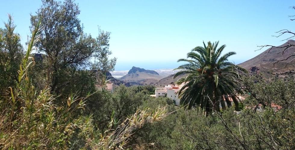 Utsikt over Roque Aguyaro i Agüimes kommune