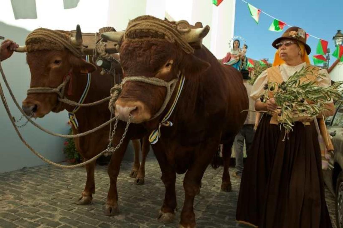 Romeria Laboral, Santa Lucia