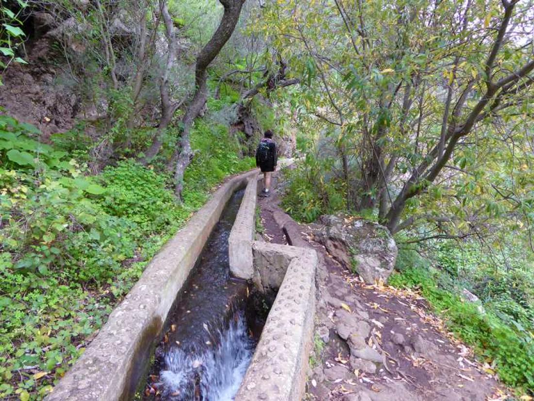 Barranco de Los Cernicalos