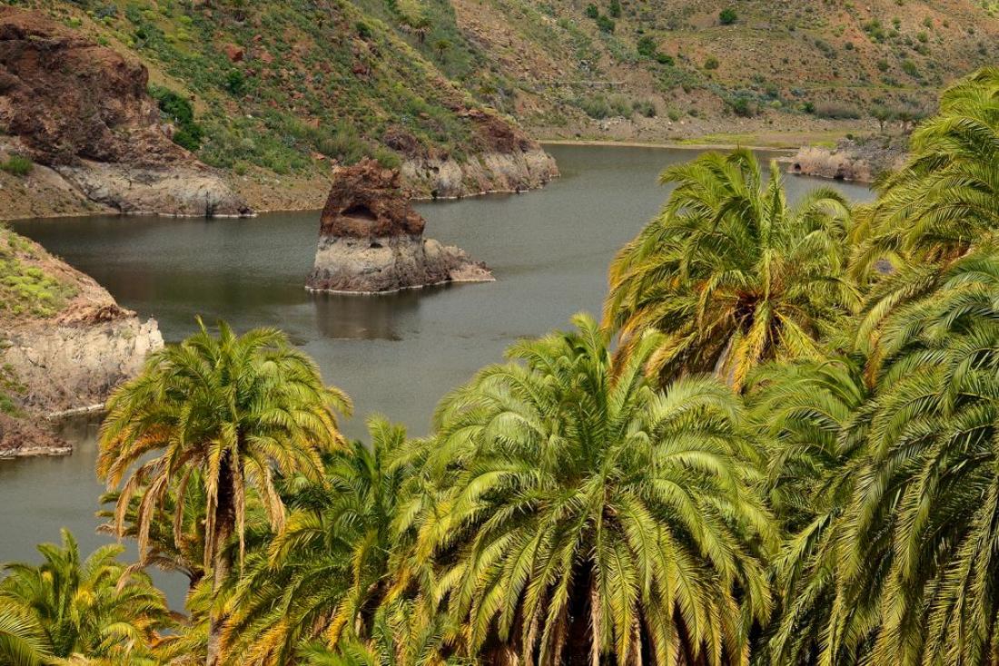 Presa de Sorueda, et av Gran Canarias mange vannreservoarer