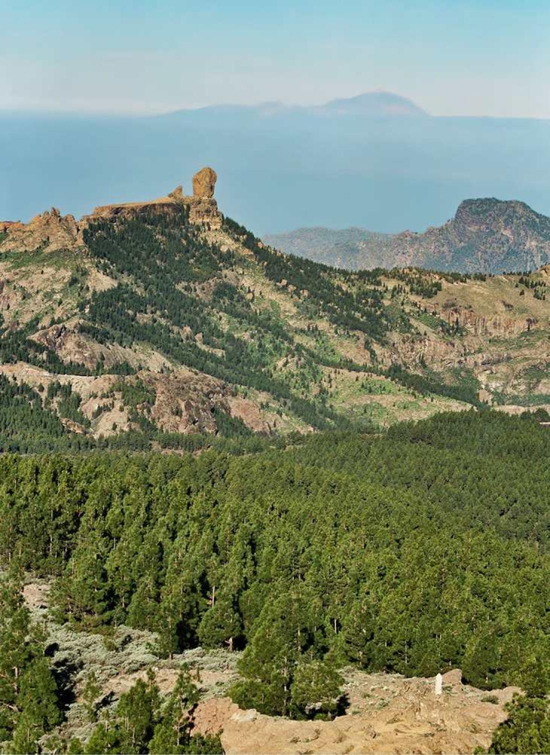 Utsikt mot Roque Nublo fra Pico de Las Nieves