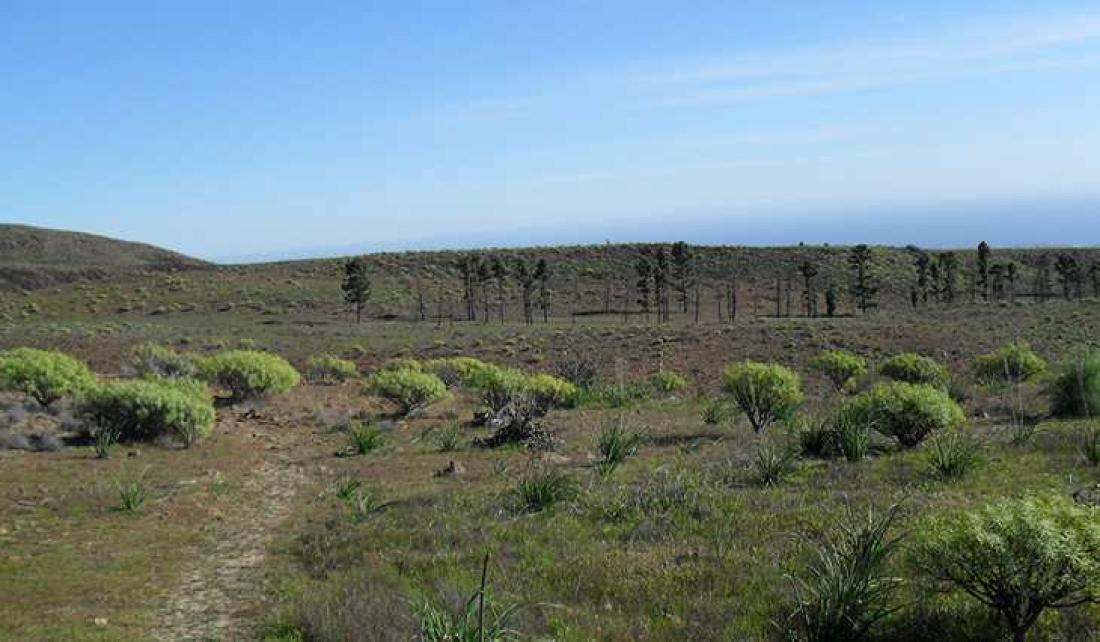 Høyslette øst for Barranco Taurito