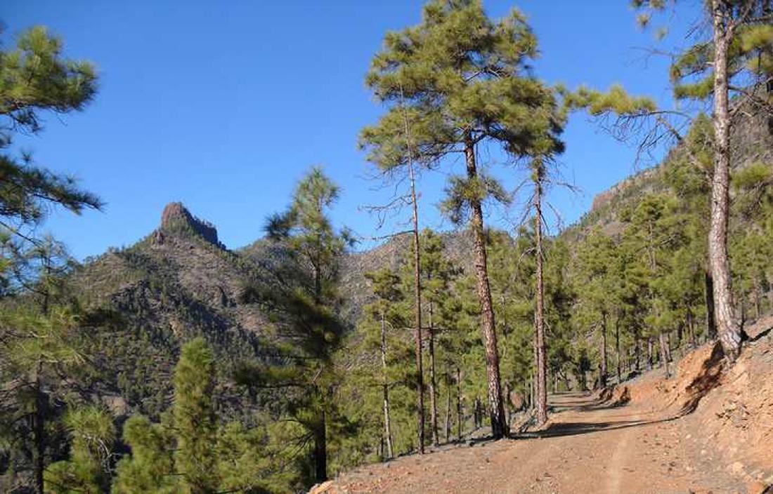 Barranco de Pilancones. Foto: Frifot Forlag