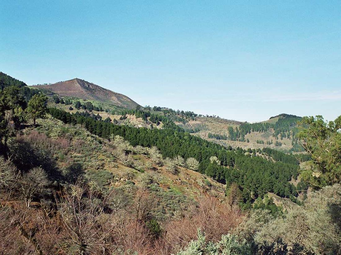 Utsikt mot Montañón Negro