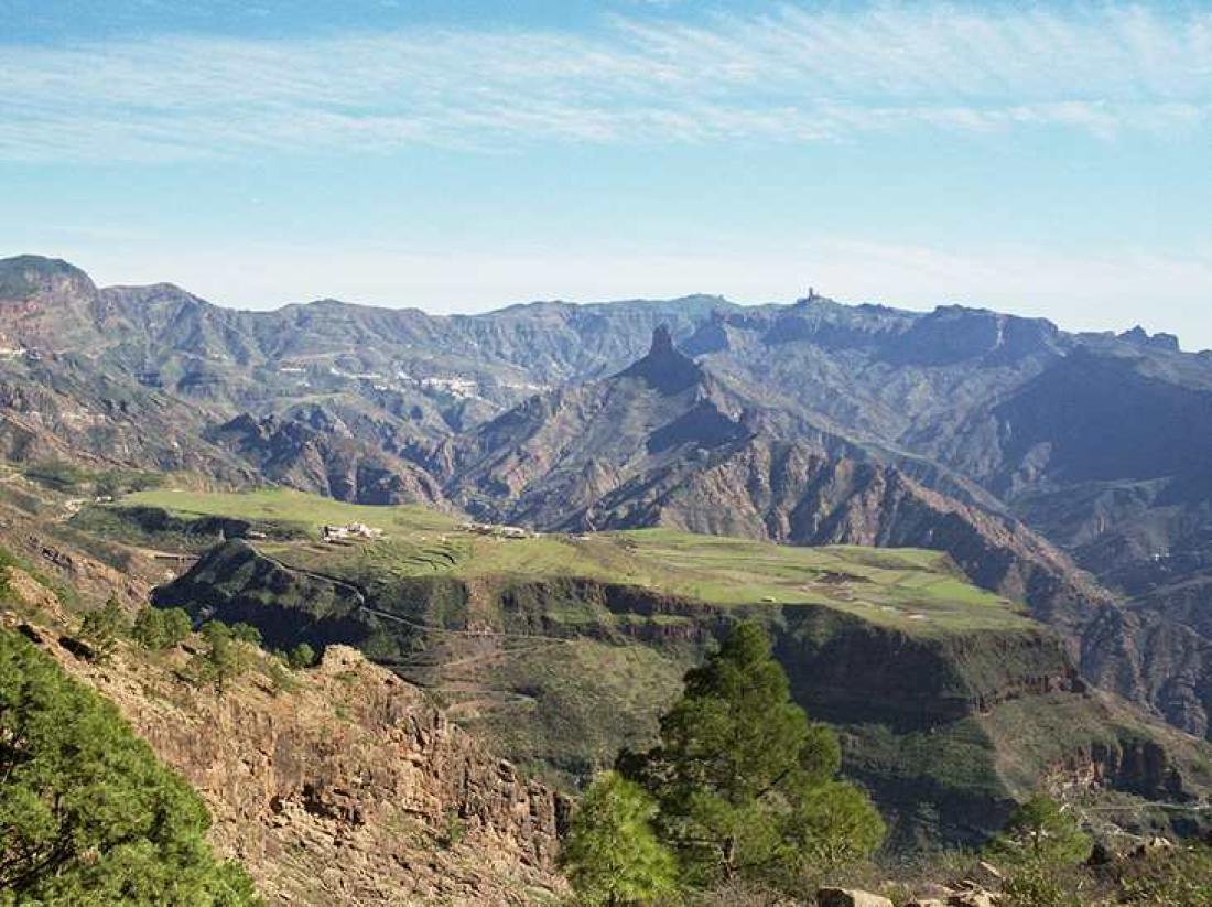 Vega de Acusa, Gran Canarias prærie