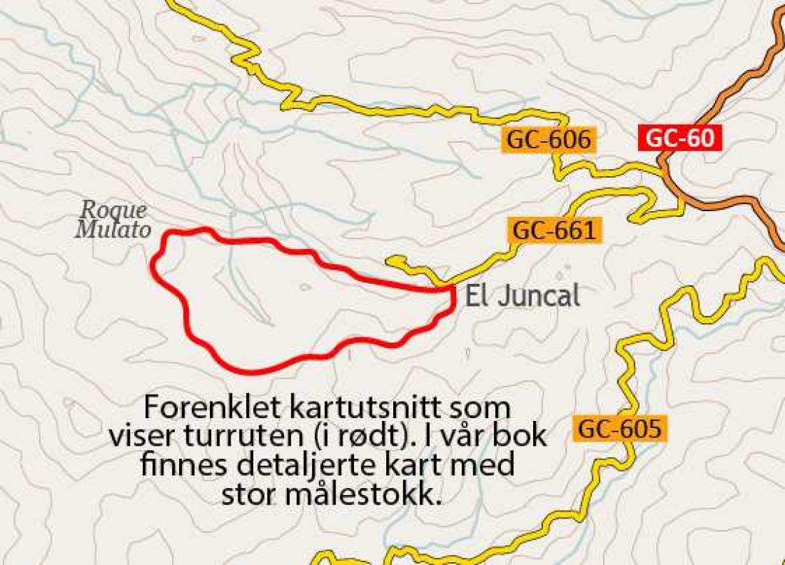 Fottur til Roque Mulato, Gran Canaria