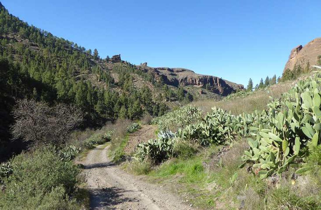 I utkanten av El Juncal