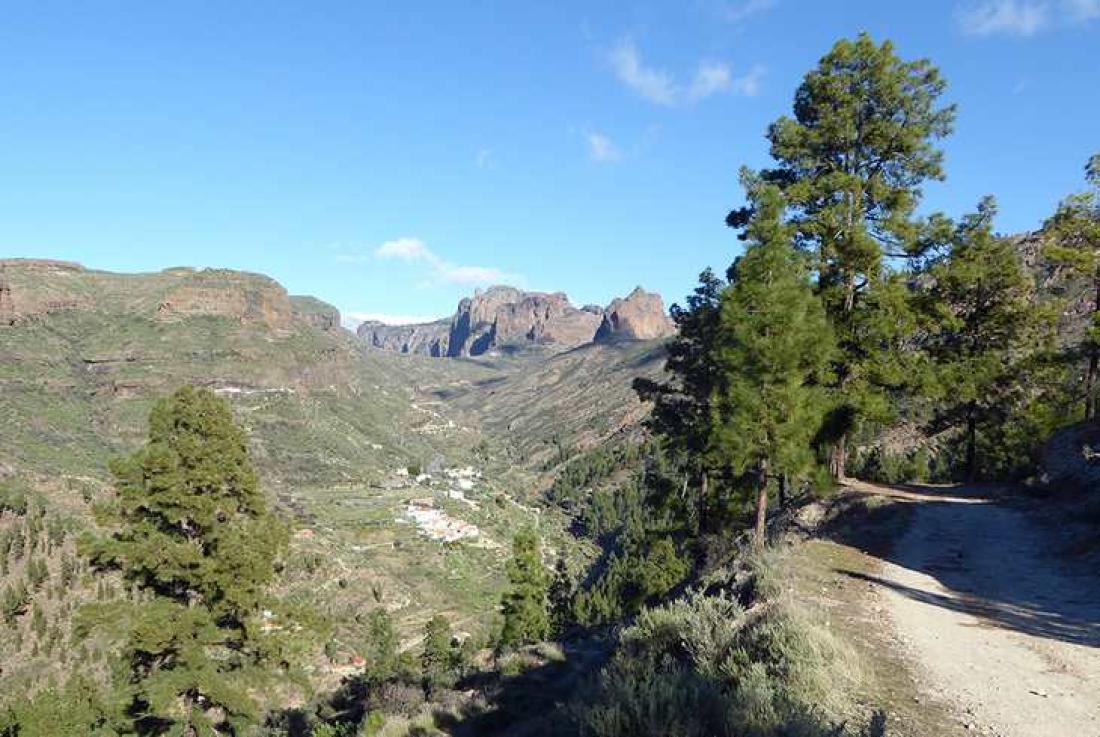 Ved Casa Forestal de Pajonales