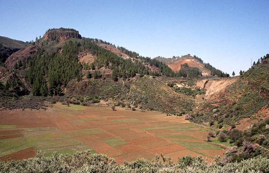 Biltur til Pico Nieves: Caldera de Los Marteles