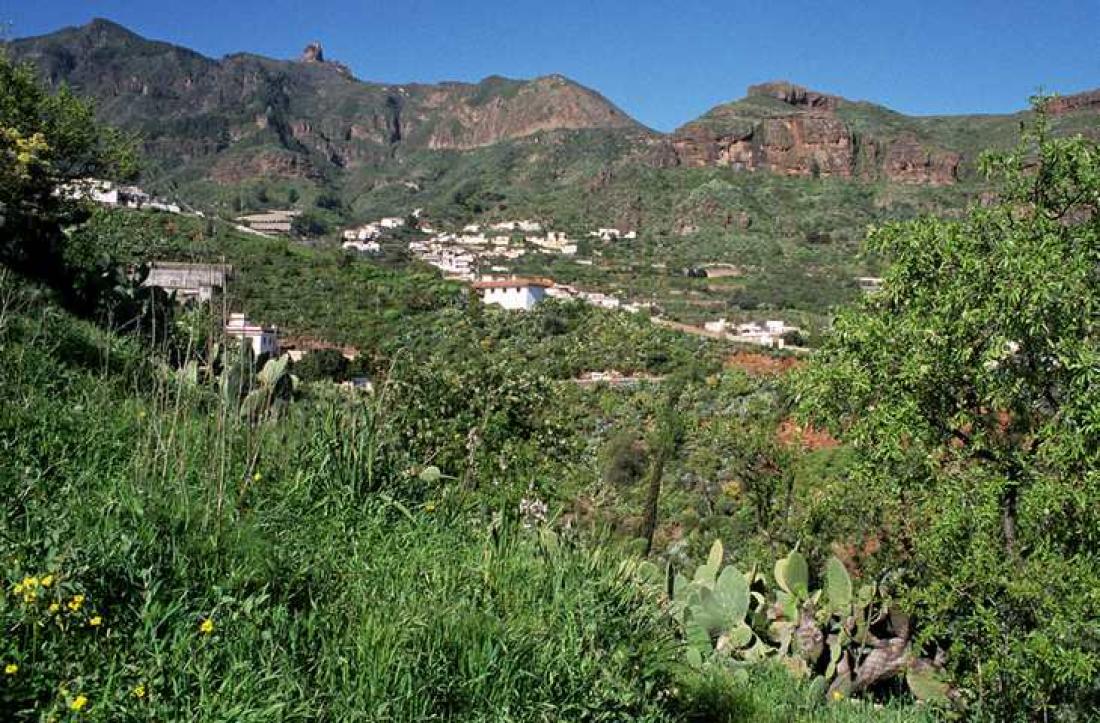 Ved Tenteniguada, Gran Canaria